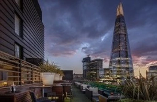 7th LSORA Ultrasound in Pain Medicine Workshop London (2 Days Comprehensive Scanning Course)