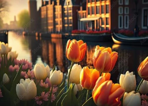 3rd Evolution of Pulsed Radiofrequency Symposium, Leiden, Netherlands 12.04.24