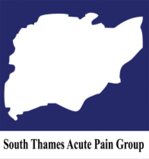 South Thames Acute Pain Group (STAPG) - conference 2021