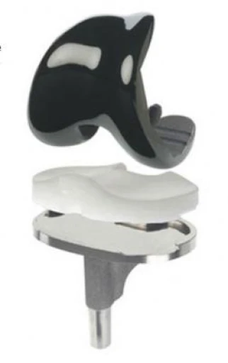 BASIC KNEE ARTHROPLASTY COURSE