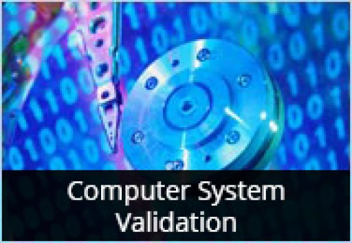 Computer System Validation - Reduce Costs and Avoid 483s