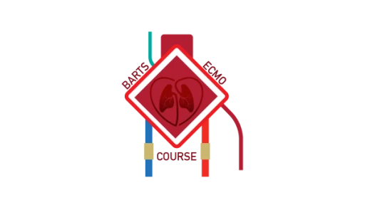 Barts Summer ECMO Course 2025
