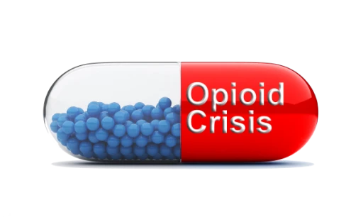 Opioid Crisis Study Day 2019