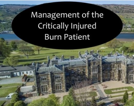 Management of the critically injured burns patient