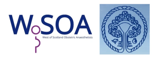 Joint WoSOA and GOGS meeting 2024 