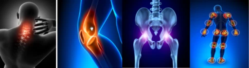 Leicester Interventional Pain Cadaver Course (LIP CAD)